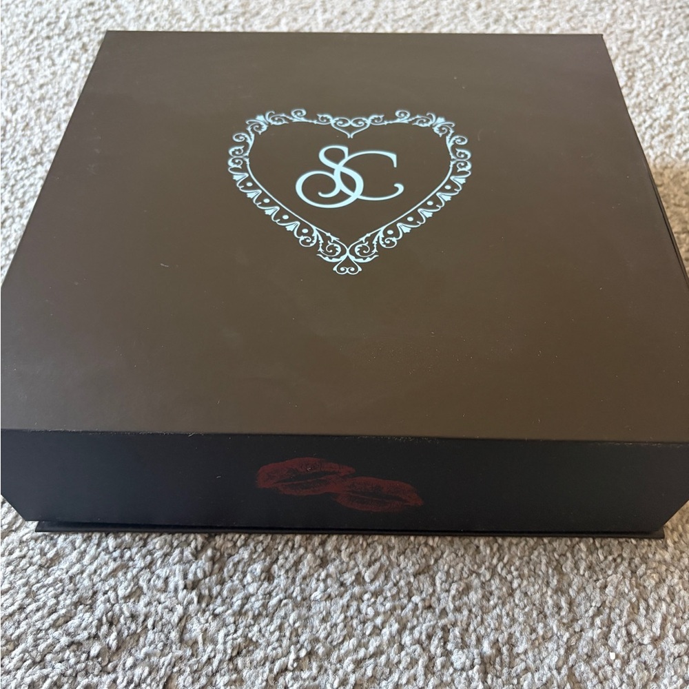 Sabrina Carpenter VIP Box - Picture 2 of 5